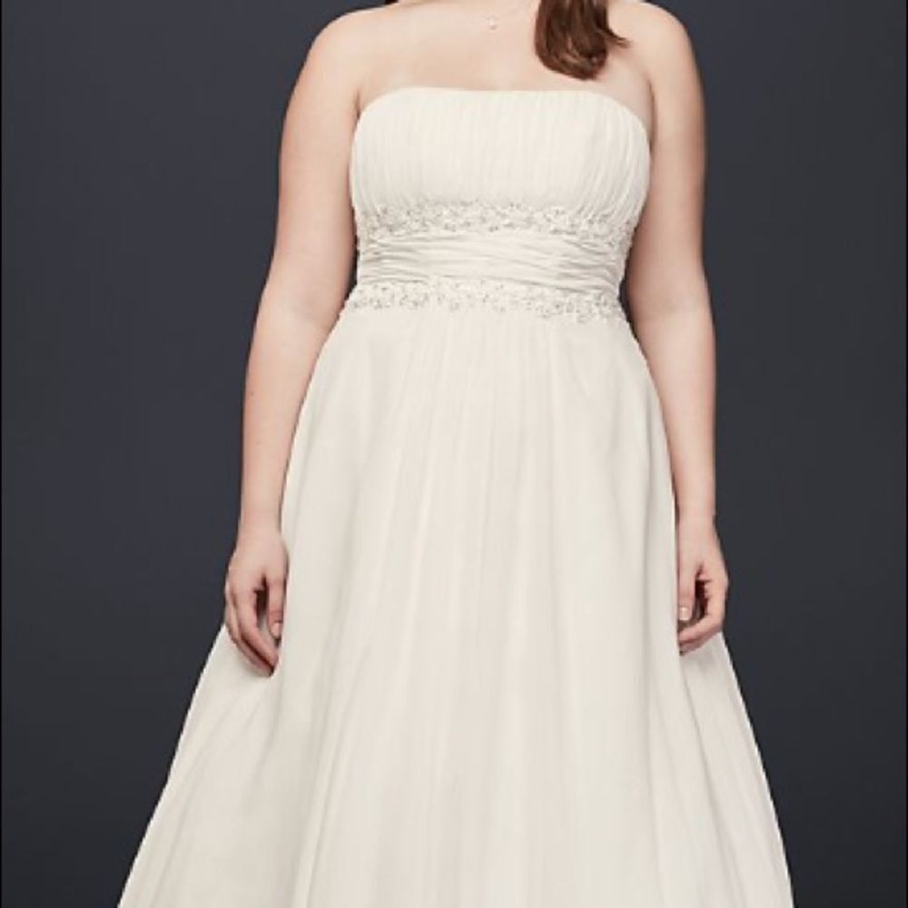 David’s Bridal Chiffon Beaded Empire Plus Size
Wedding Dress White size: 16W​​​ - Picture 4 of 14
